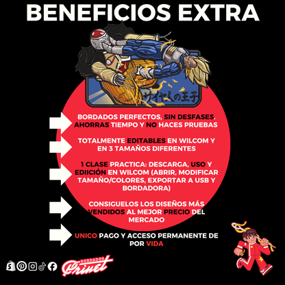 PAQUETE DE DRAGON BALL PARA BORDAR