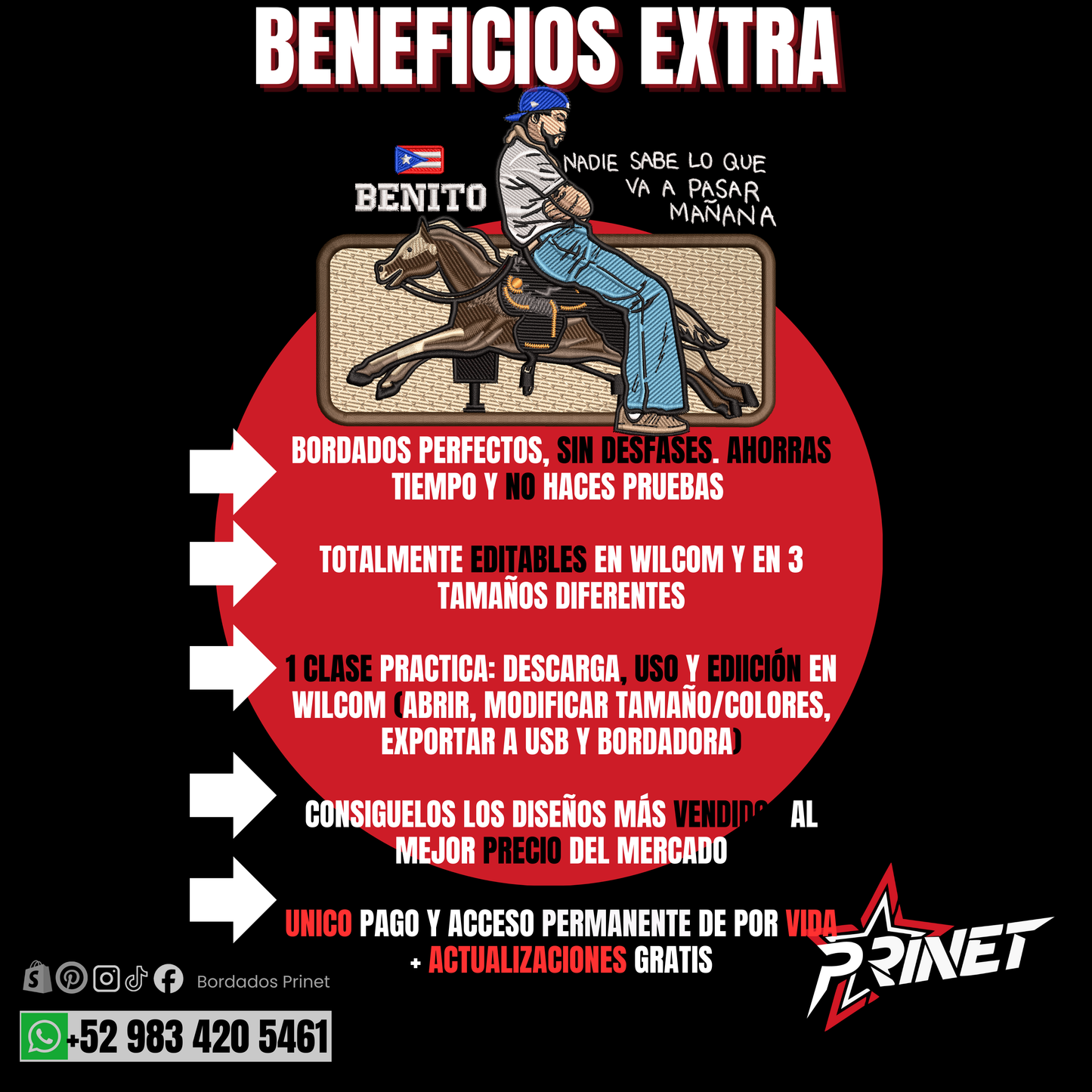 PAQUETE PREMIUM DE BORDADOS