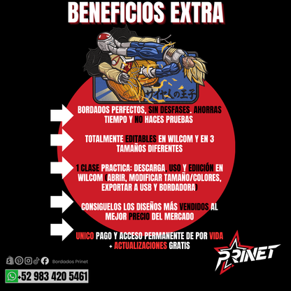 PAQUETE DE DRAGON BALL PARA BORDAR