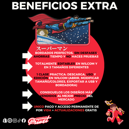 PAQUETE DE CANTANTES PARA BORDAR